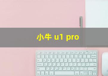 小牛 u1 pro